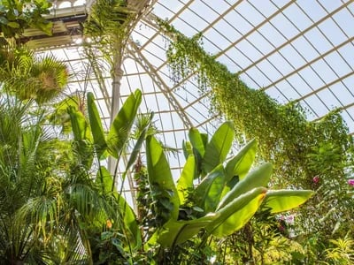 Terrassenueberdachung Alu: Moderne Lösungen für stilvolle Terrassen