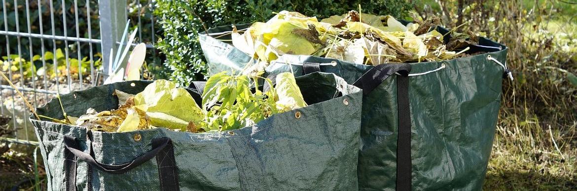 Grünabfall Hamburg: Tipps zur umweltfreundlichen Entsorgung in Ihrer Nähe